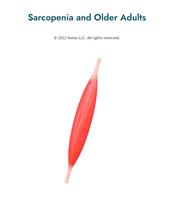 Sarcopenia and Older Adults