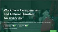 Workplace Emergencies and Natural Disasters: An Overview