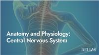 Anatomy and Physiology: Central Nervous System