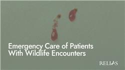 Emergency Care of Patients With Wildlife Encounters