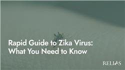 Rapid Guide to Zika Virus: What You Need to Know
