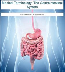 Medical Terminology: The Gastrointestinal System