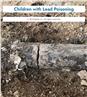 Children with Lead Poisoning