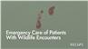 Emergency Care of Patients With Wildlife Encounters