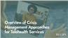 Overview of Crisis Management Approaches for Telehealth Services
