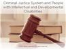 Criminal Justice System and People with Intellectual and Developmental Disabilities