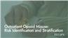 Outpatient Opioid Misuse: Risk Identification and Stratification
