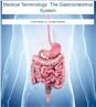 Medical Terminology: The Gastrointestinal System